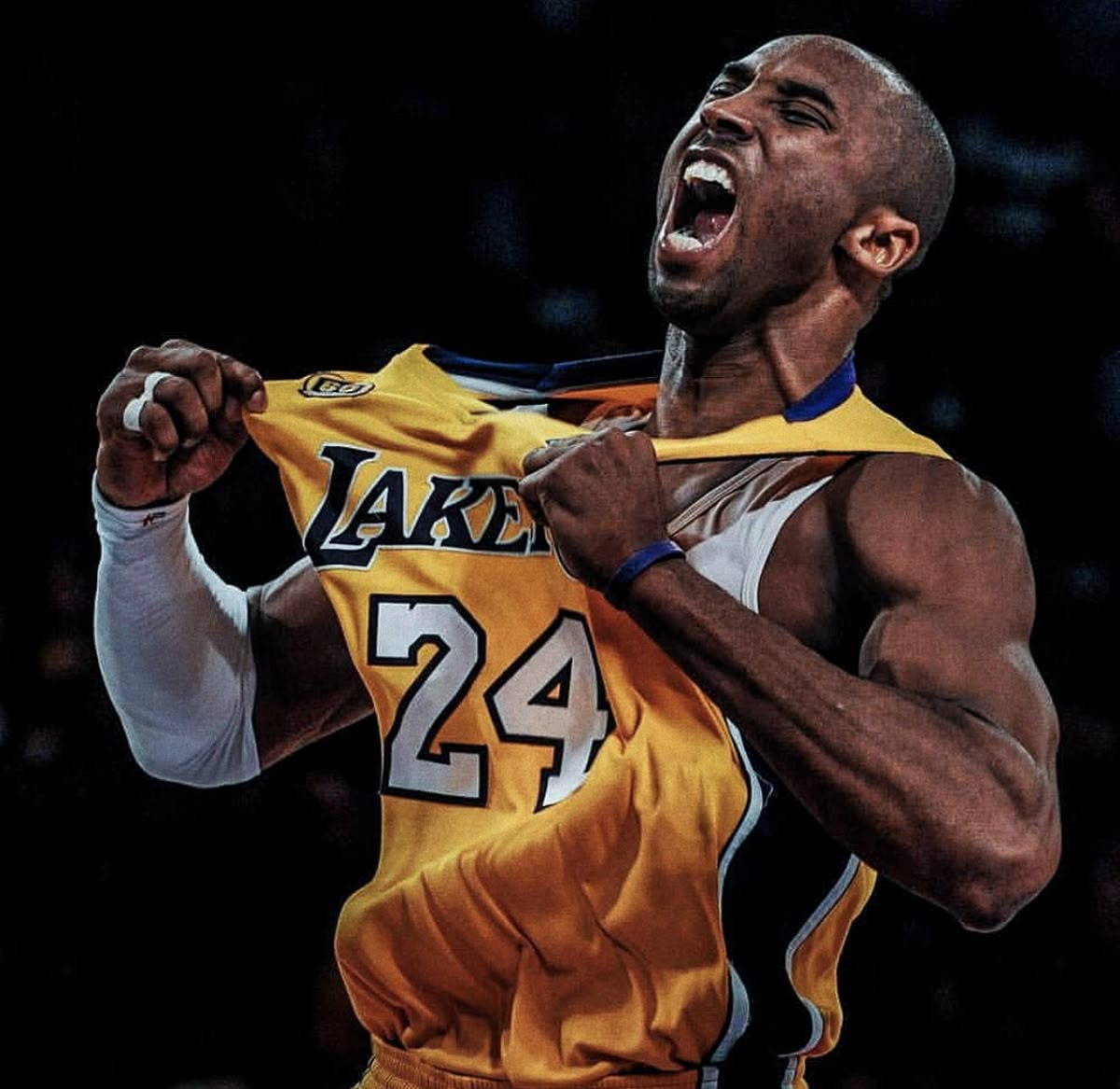 54122ab263cb12a497b962522b3cc2e3